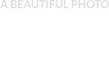A BEAUTIFUL PHOTO